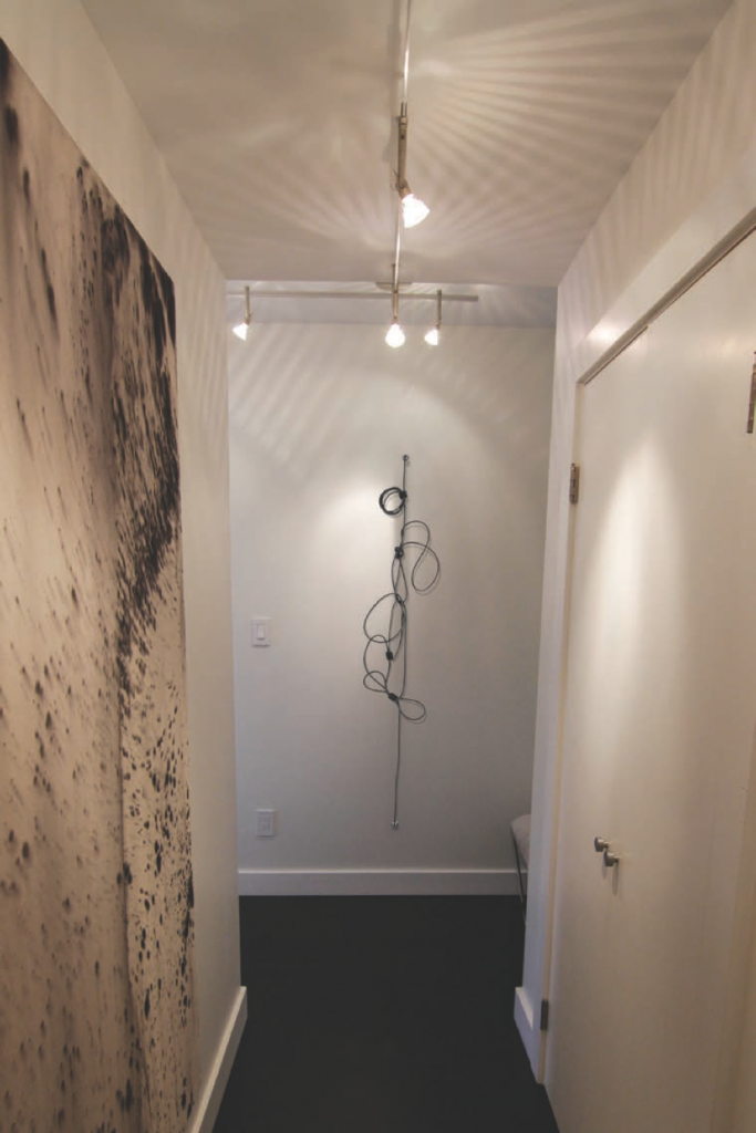 From left: Shawn Kuruneru, Deep Valley, 2013. Ink and acrylic on canvas, 72 x 48 inches. Jennie C Jones, Shhh #14, 2013. cable, wire and felt, 50 inches.